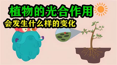 植物需要氧氣嗎|植物需要氧气吗？